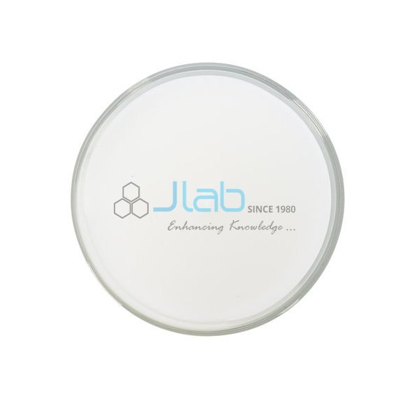Plano Concave Lenses