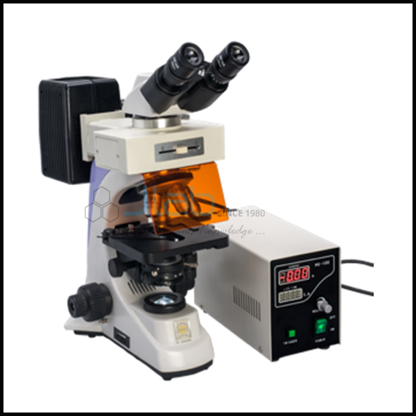 Inverted Fluorescence Microscope
