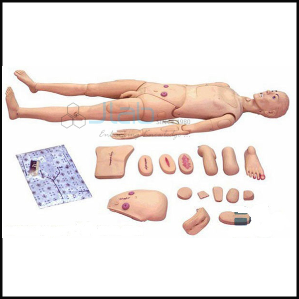Basic Combination Nursing Manikin