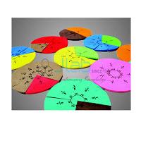 Non Magnetic Fraction Disk