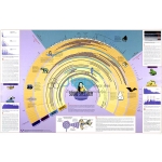 Sound Spectrum Chart