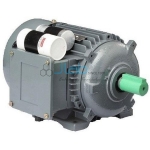 Squirrel Cage Induction Motor