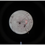 Microslide Meiosis