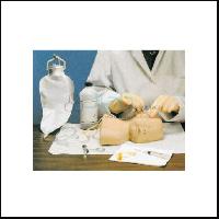 Neonate Scalp Venipuncture Model