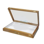 Insect Storage Box