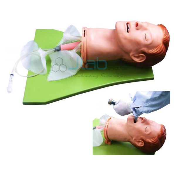 Multi-functional Airway Management Model