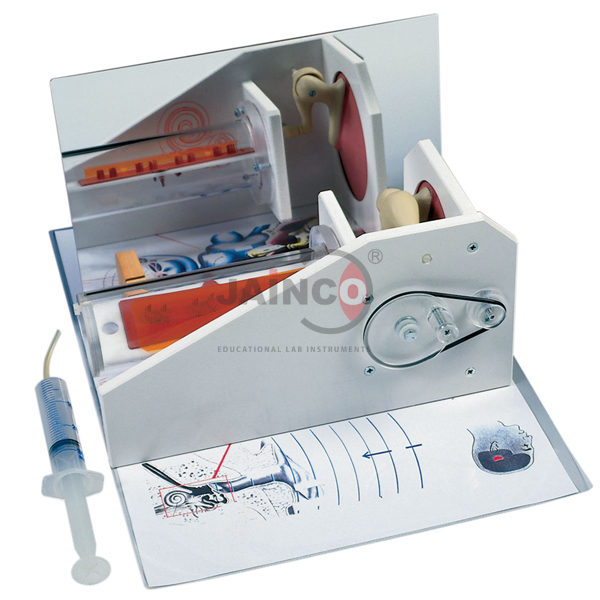 Functional Ear Model