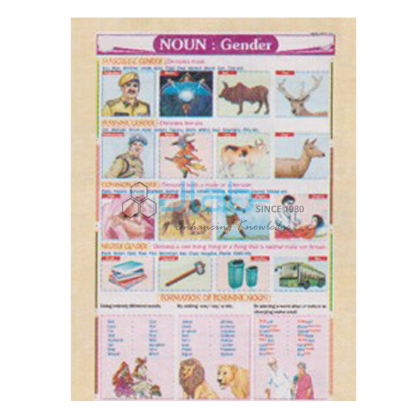 Noun Gender Chart