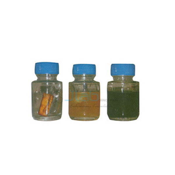 Bacteriological Test Vials