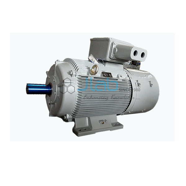 Slip Ring Induction Motor