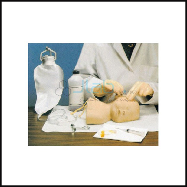 Neonate Scalp Venipuncture Model
