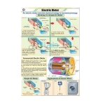 Electric Motor