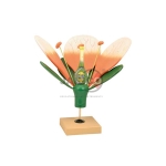 Typical Flower Model